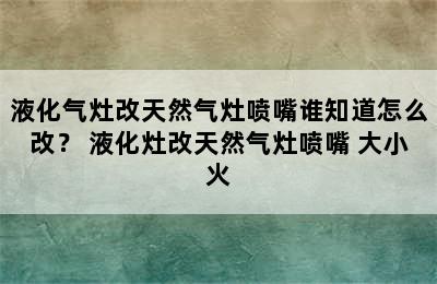 液化气灶改天然气灶喷嘴谁知道怎么改？ 液化灶改天然气灶喷嘴 大小火